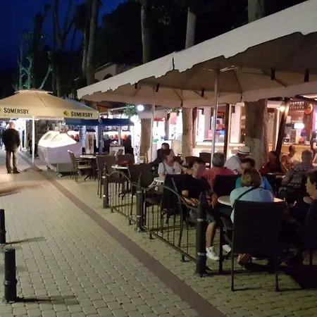 In - Balaton 38420 שיופוק