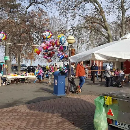 In - Balaton 38420 * שיופוק