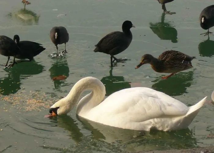 Apartament In - Balaton 38420 Siófok